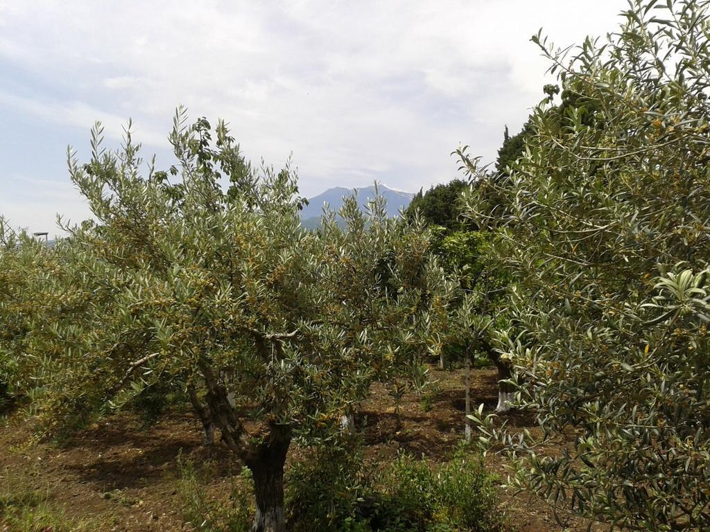 Villa Etna Piedimonte Etneo Kültér fotó